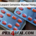 Leopard Secret Miracle Honey 05